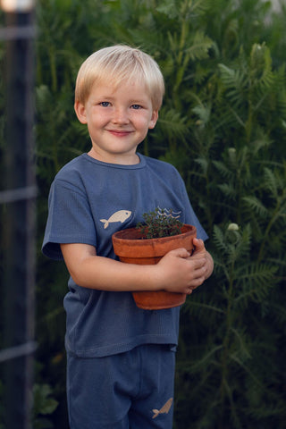 Minik Denizciler Kısa Kollu Tshirt Şort Pijama Tk.